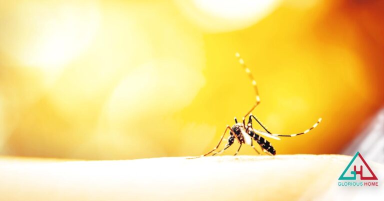 Pročitajte više o članku Zaštitite se od komaraca uz naše komarnike